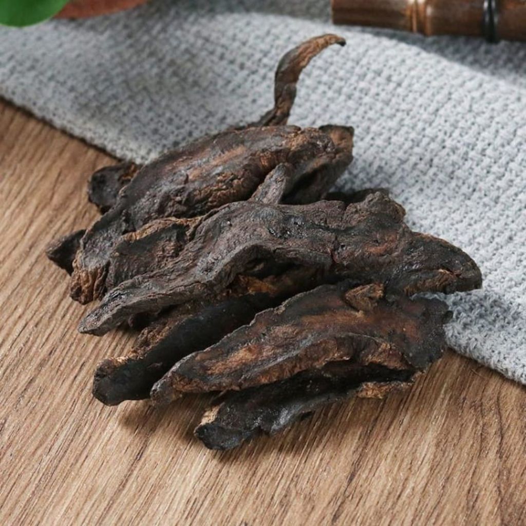 

Sheng Di Pian/Rehmannia Glutinosa