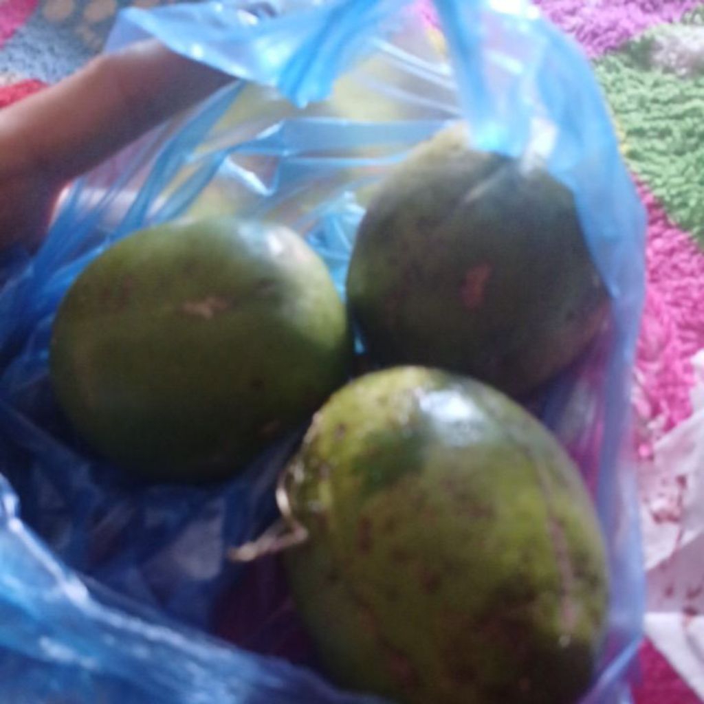

buah kedong-dong, harga untuk 1 kg