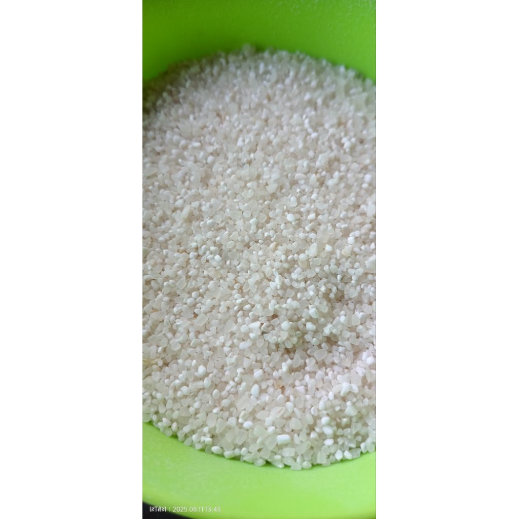 

Beras Menir Beras patah