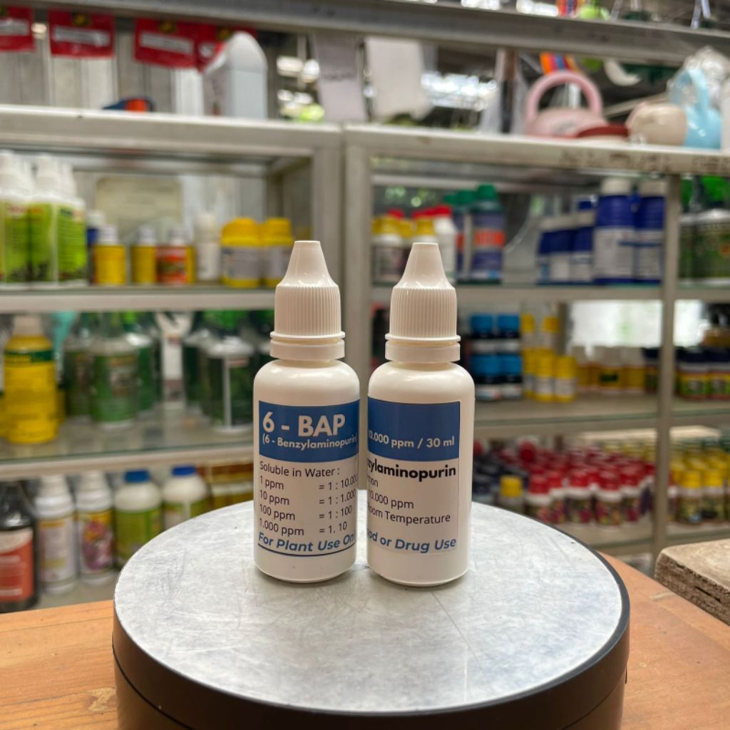 Hormon 6-BAP Biru Benzylaminopurine 30 Ml
