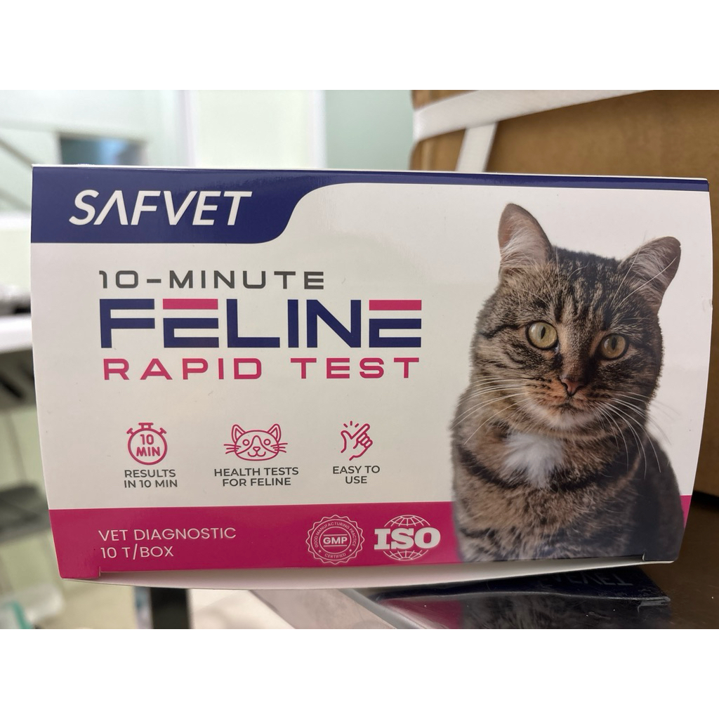 rapid test kit vet diagnostic feline panleukopenia virus antigen FPV ag