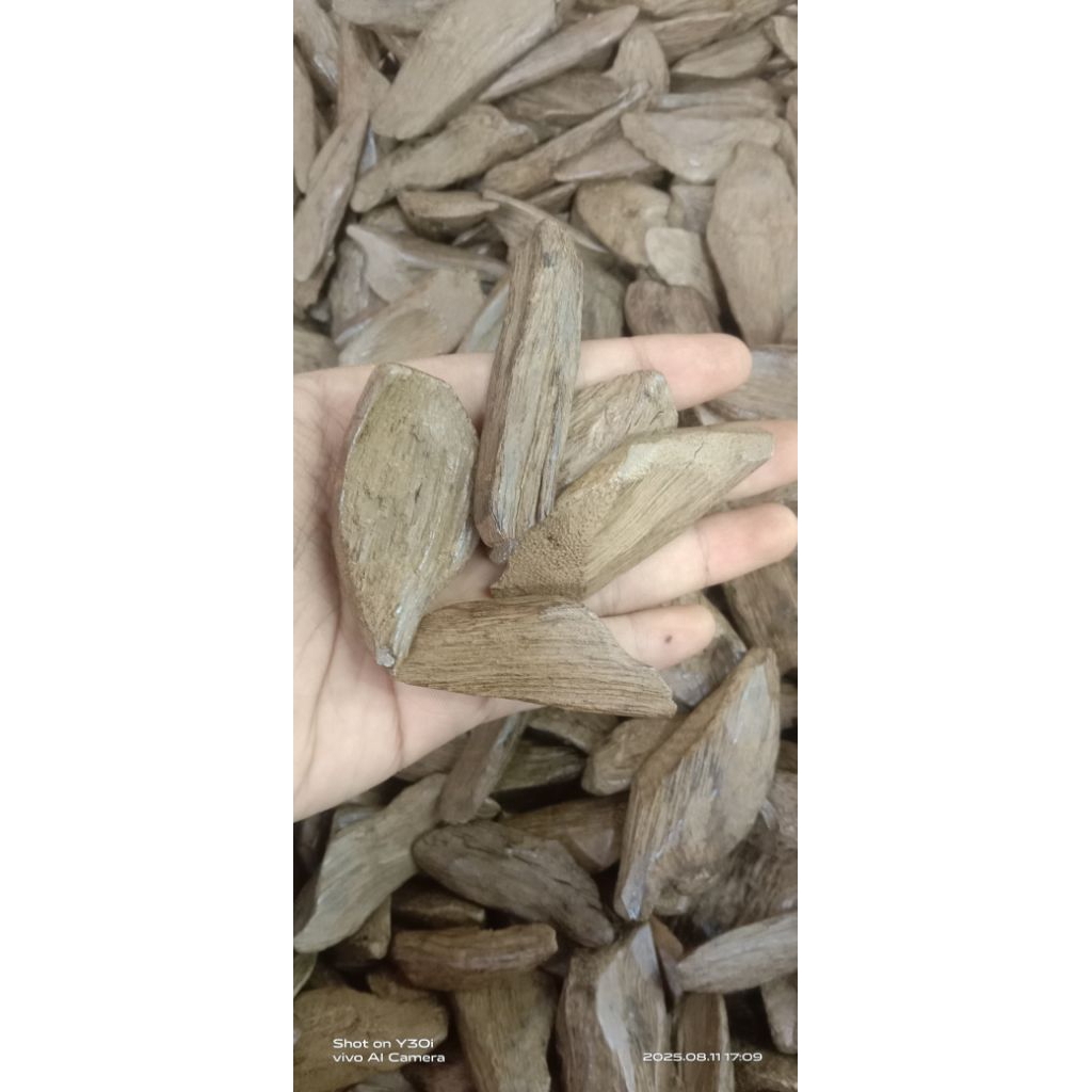 Kayu Gaharu Merauke Asli ABB / Gaharu Merauke / Gaharu Asli Merauke Isi 100 gr