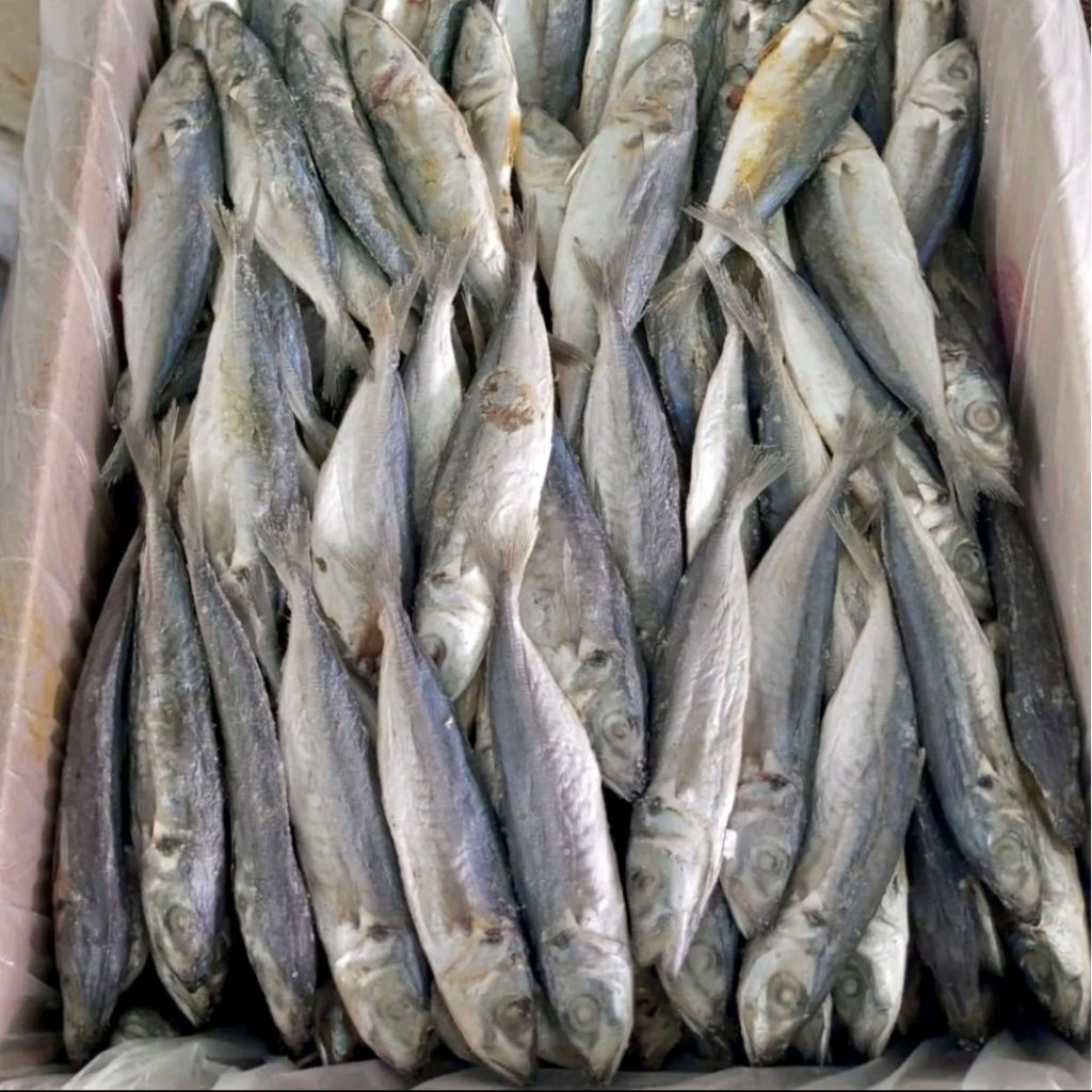 

Terlaris 1kg ikan asin PEDA LAYANG peda bolocot atau peda japuh terlaris dan termurah