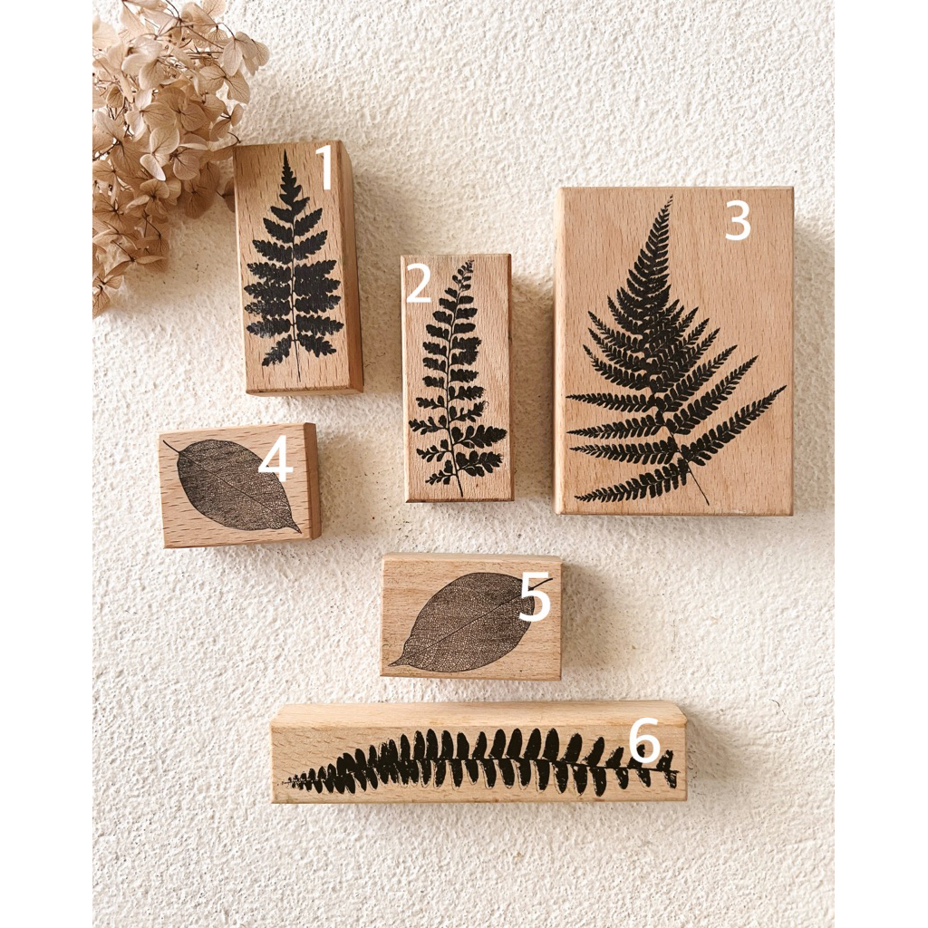 Preloved Lin Chia Ning Fern Specimen Rubber Stamp & Penny Fei Leaf Rubber Stamp