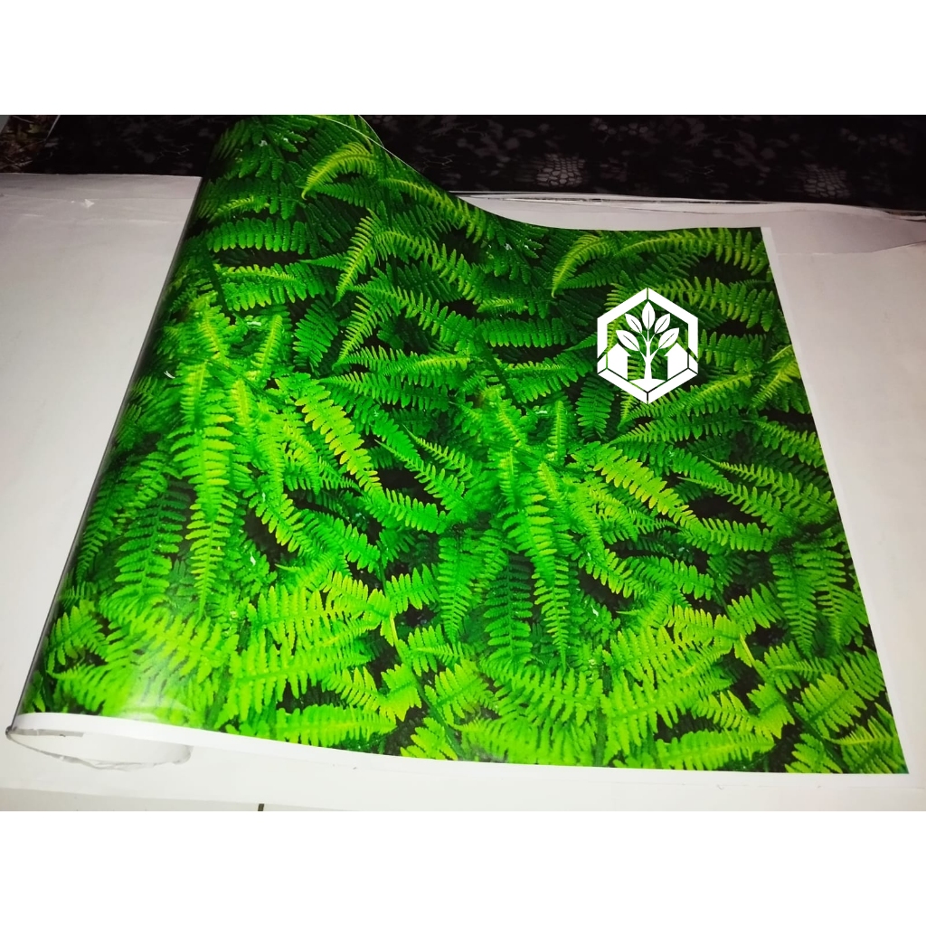 

Stiker Camo Motif Natural Pakis 50x50cm