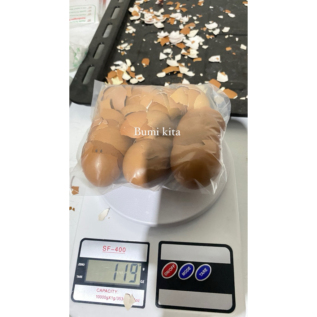 

1KG Cangkang Telur Kering Bersih Utuh kasar halus / Eggshell Clean
