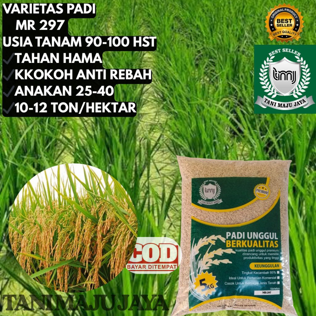 BIBIT PADI BENIH PADI UNGGUL VARIETAS MR 297 KEMASAN 5 KG