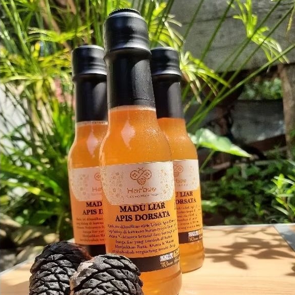 

Madu Liar Gung / Odeng ( apis dorsata )