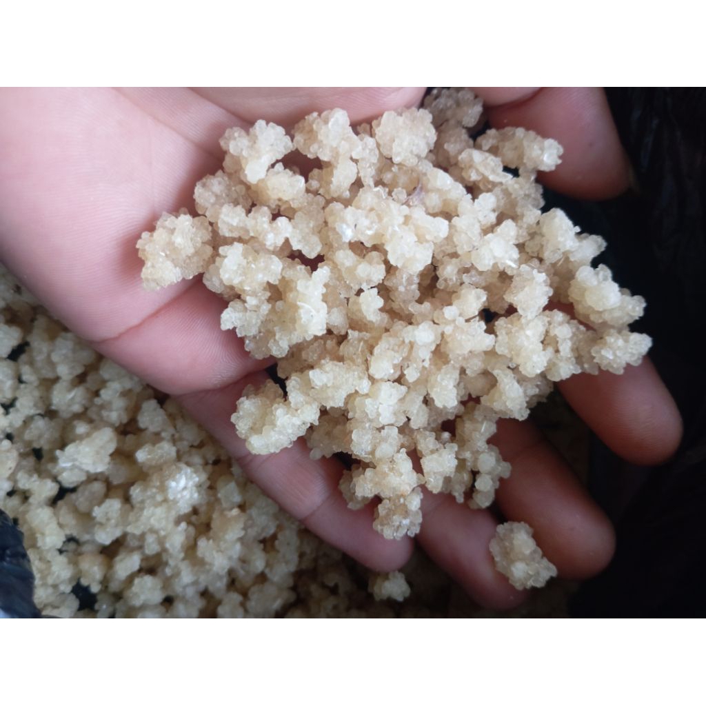 

Nasi singkong tiwul 1.kg makanan jadul pengganti nasi/ nasi oyek instan