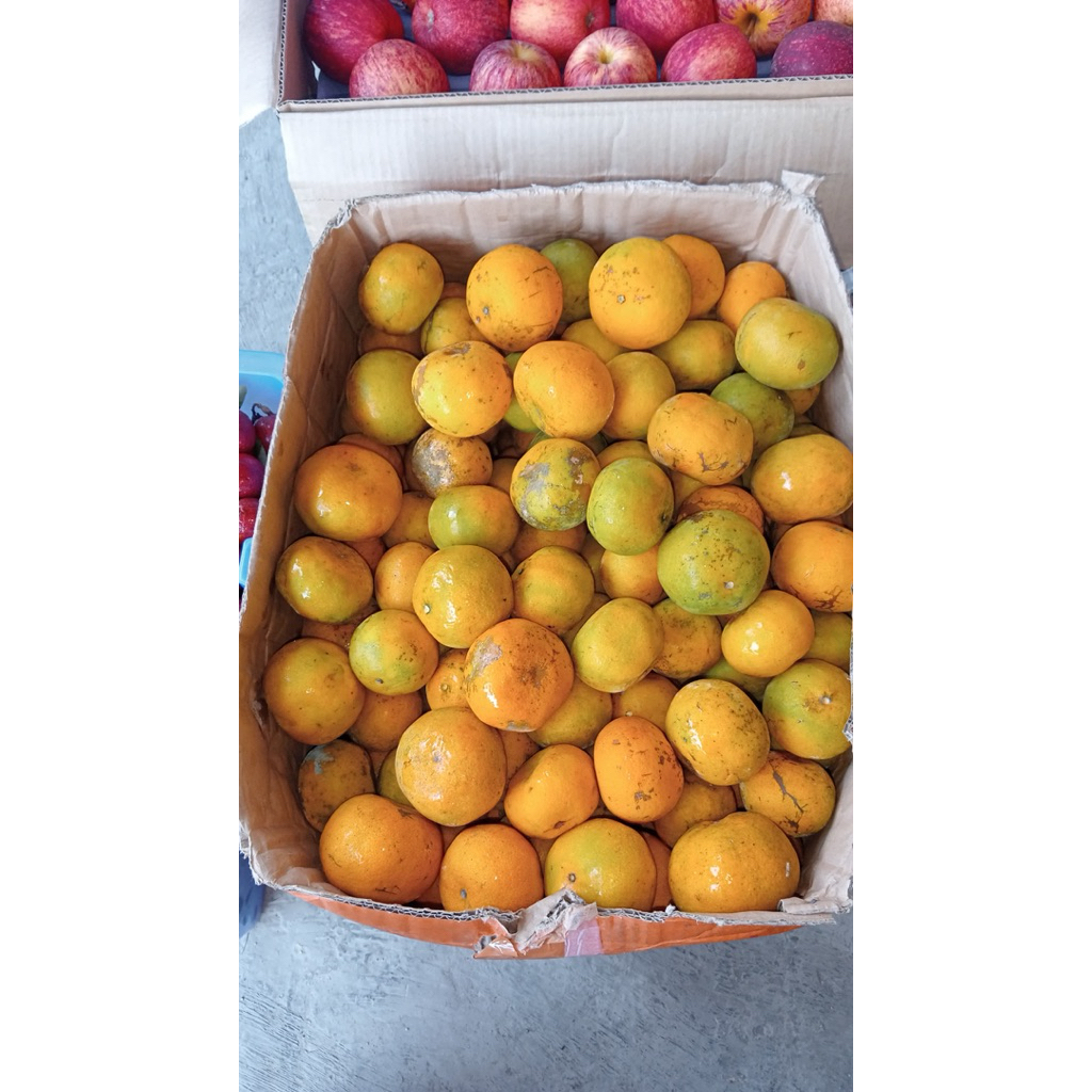 

JERUK MEDAN MANIS JERUK