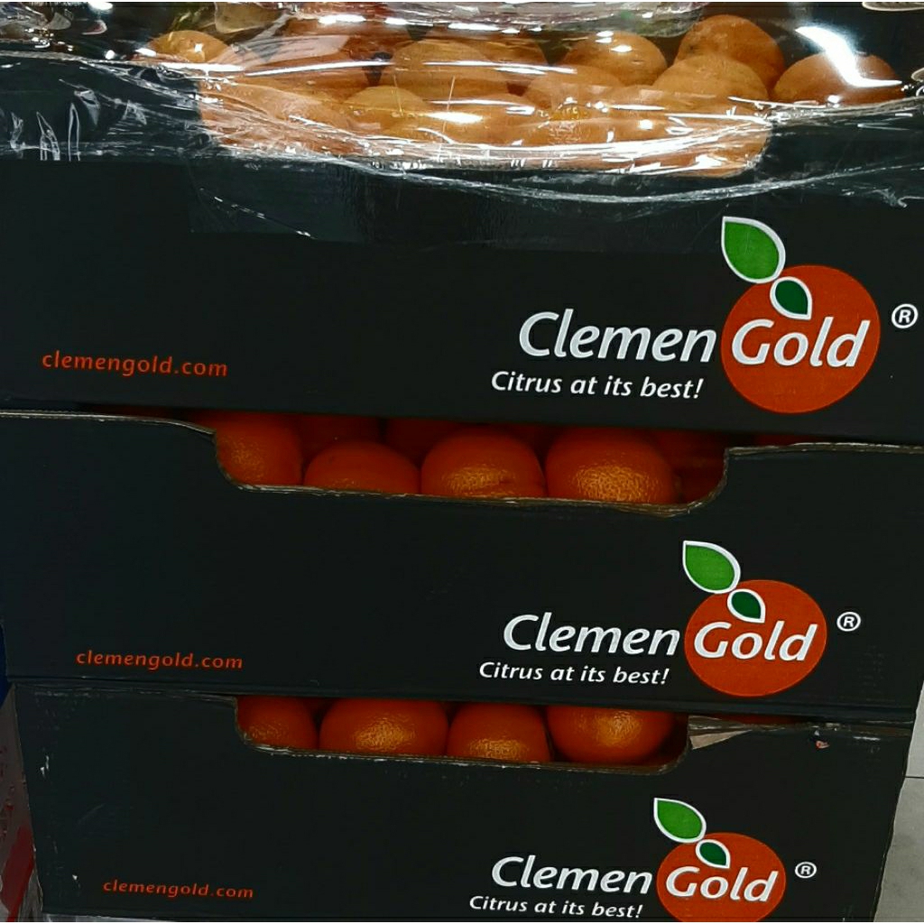 

jeruk clement gold 9kg dus