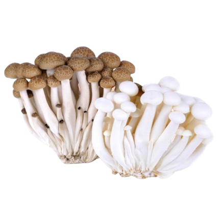 

SayurHD Jamur Shimeji Coklat / Putih 1 Pack 150 Gram Shimeji Mushroom