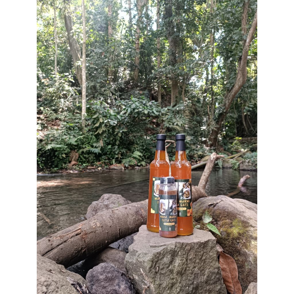 

Madu Murni Tetu Gati