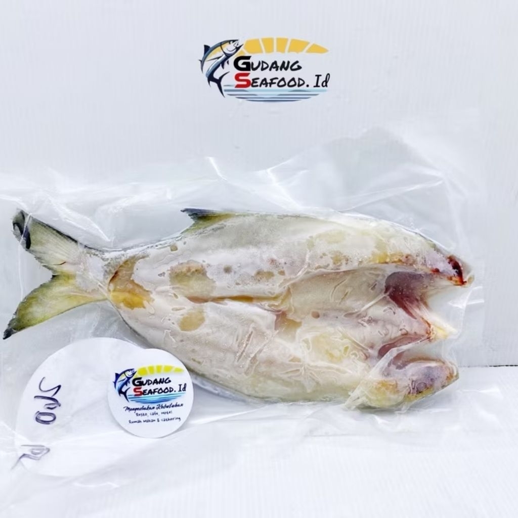 

Ikan Senangin Belah 100-250 gram / ekor