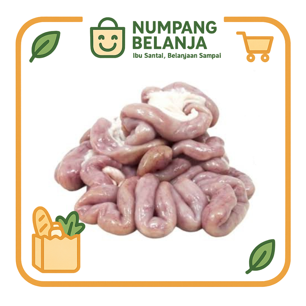 

usus sapi fresh [500g]
