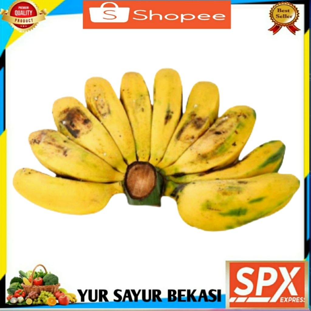 

Pisang Kepok Persisir.