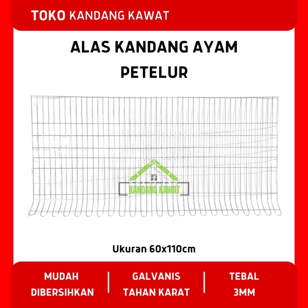 Alas / Ancak Kandang Ayam Petelur Galvanis 3mm – Tahan Karat & Awet