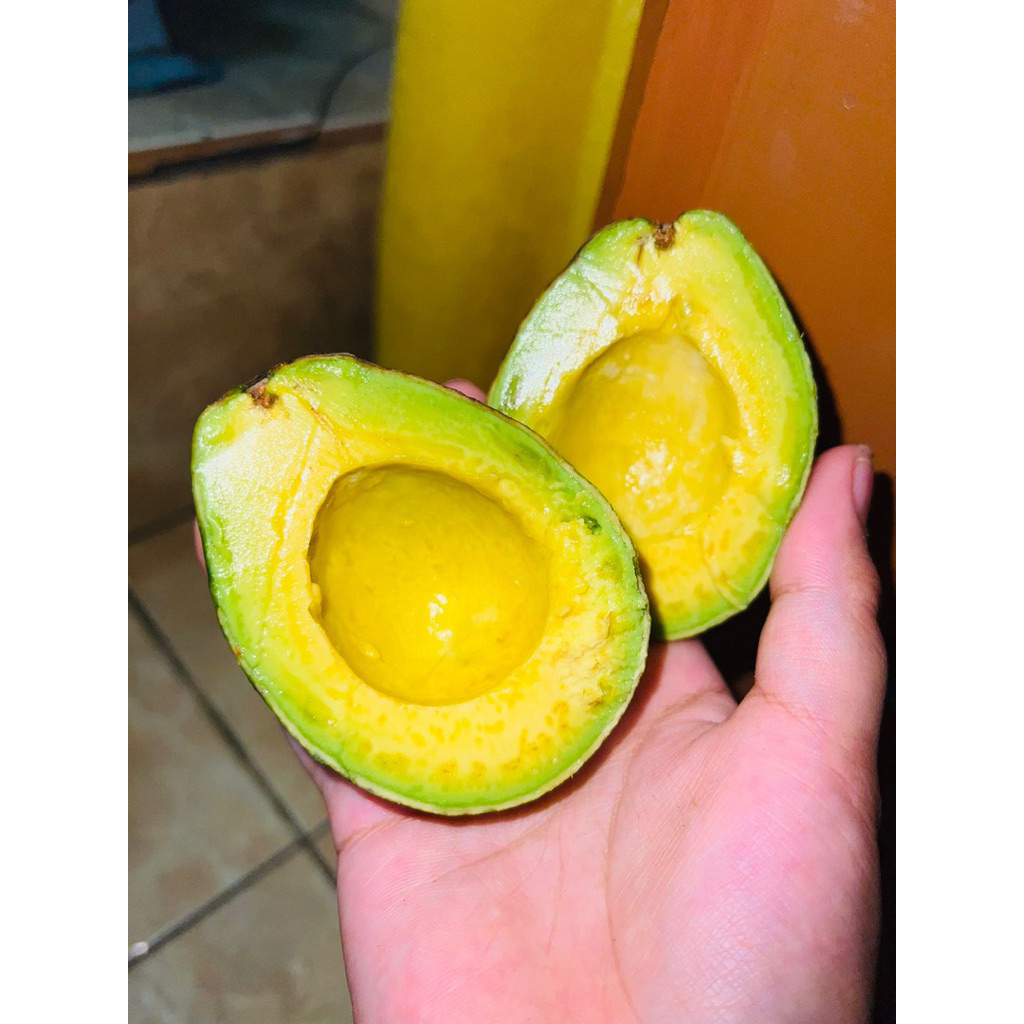 

alpukat mentega asli ranau