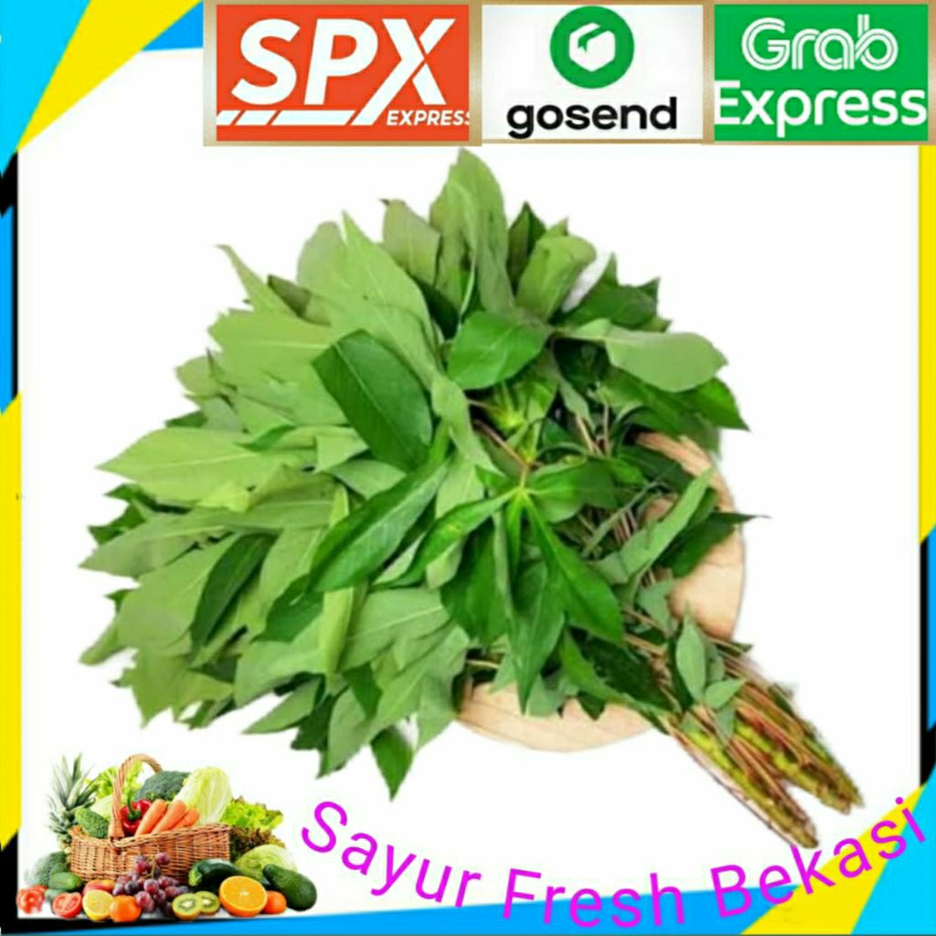 

Daun Singkong ( 3 iket ).