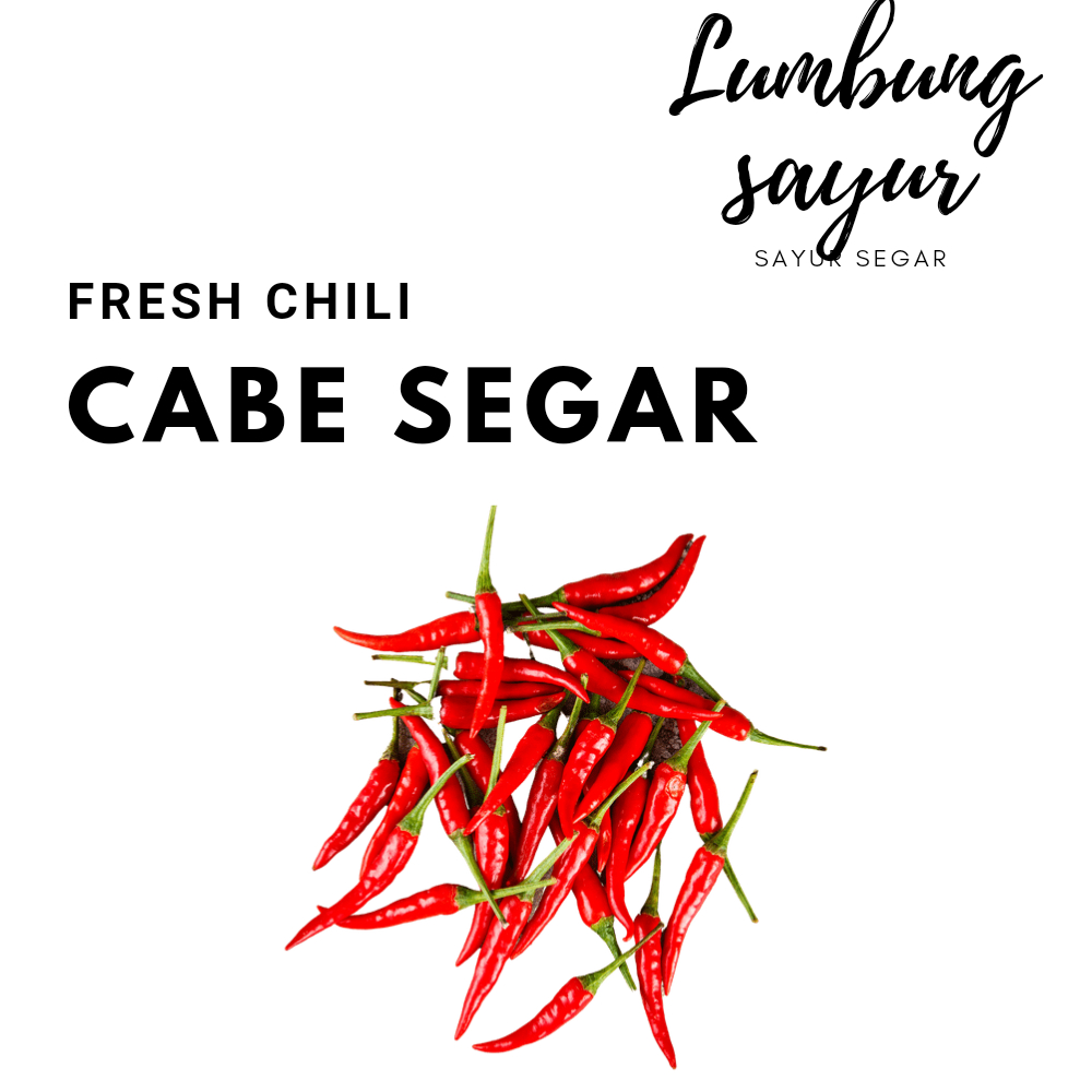 

Sayur Lumbung - Cabe Merah Keriting / Sayuran Segar