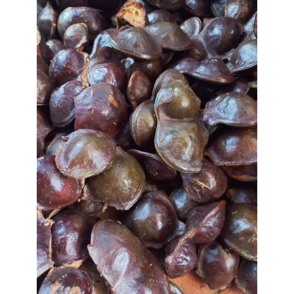 

jengkol muda lalapan kulit isi 1kg