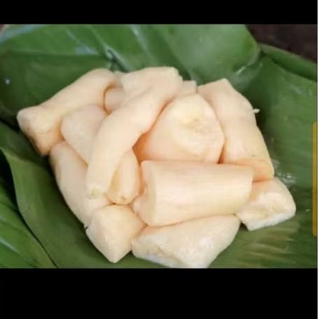 

Tape singkong kaya probiotik