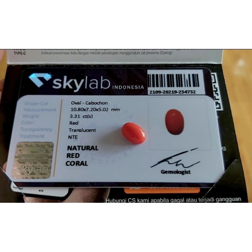 BATU MARJAN 《مَرْجَان》*asli Laut MEDITERANIA memo SKYLAB akurat terpercaya ..bukan LAB ABAL ABAL ya 