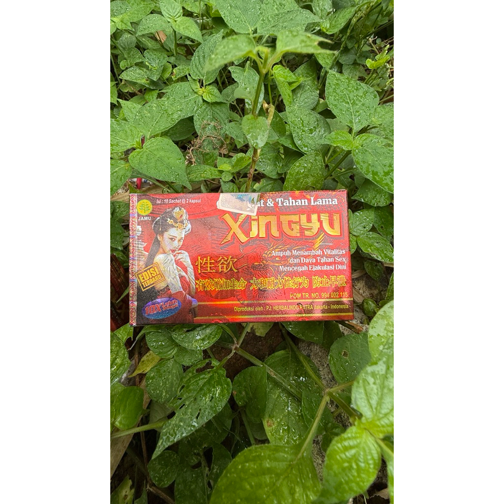 JAMU XINGYU KAPSUL