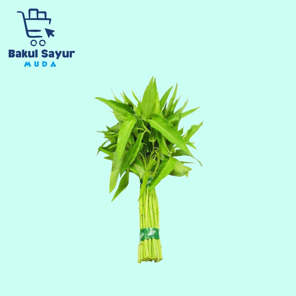 

Kangkung Segar 1 Ikat
