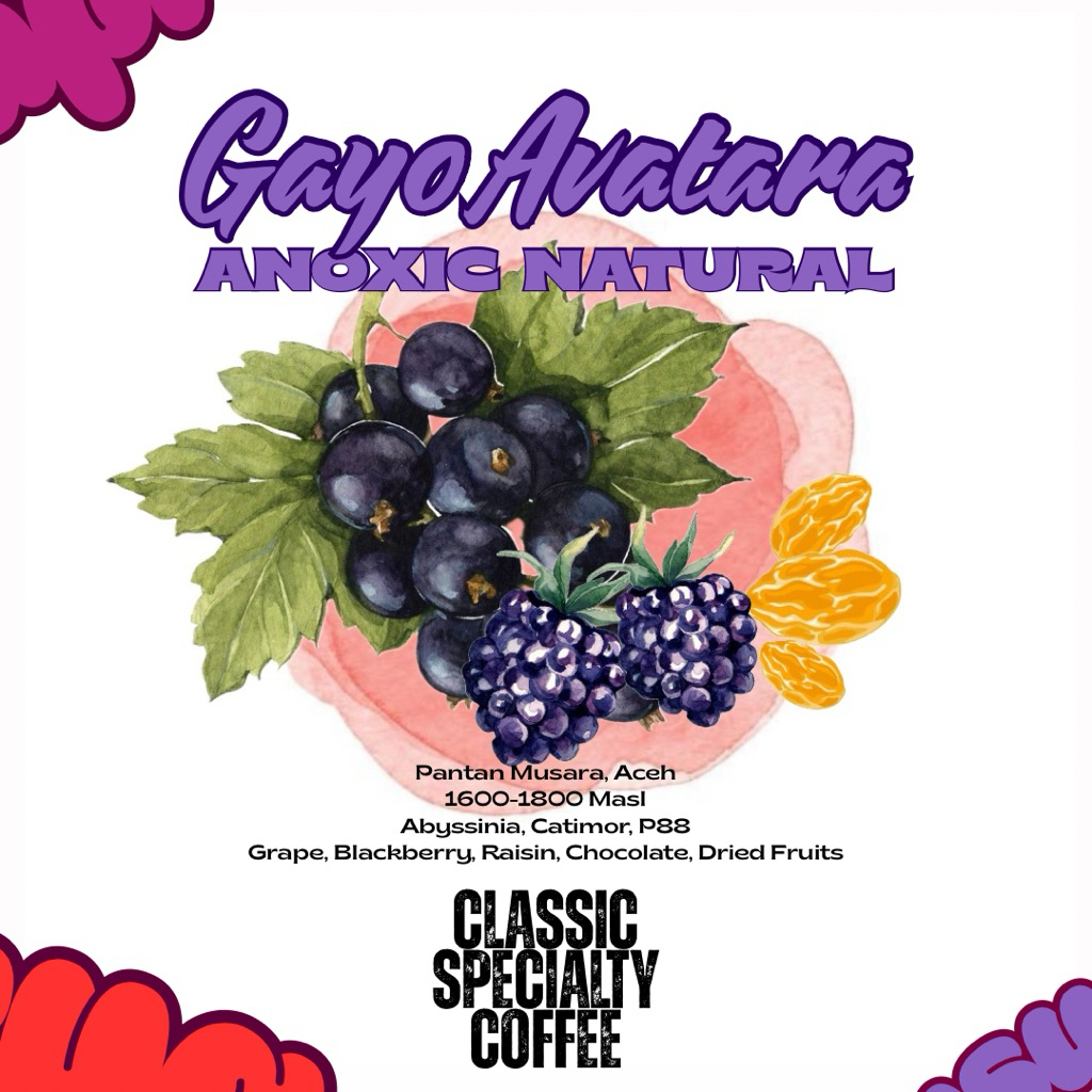 

Single Origin - Gayo Avatara - Anoxic Natural