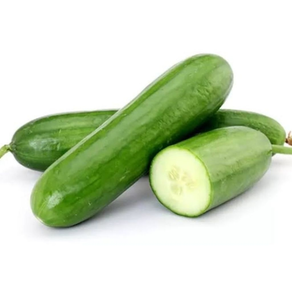 

timun sayur/timun acar 500gr