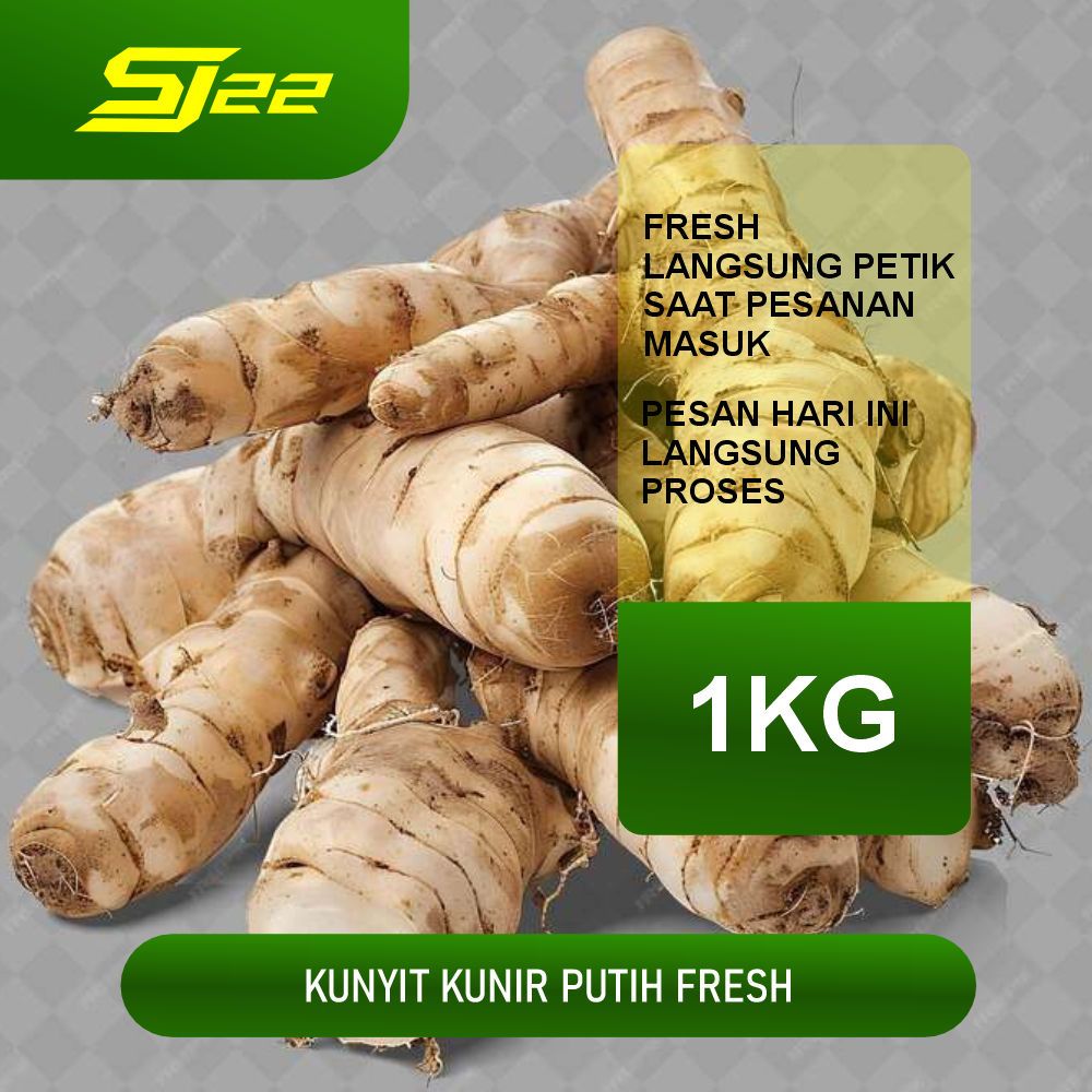 

Kunyit / Temu Putih Segar 1 Kg (Curcuma Zedoaria)