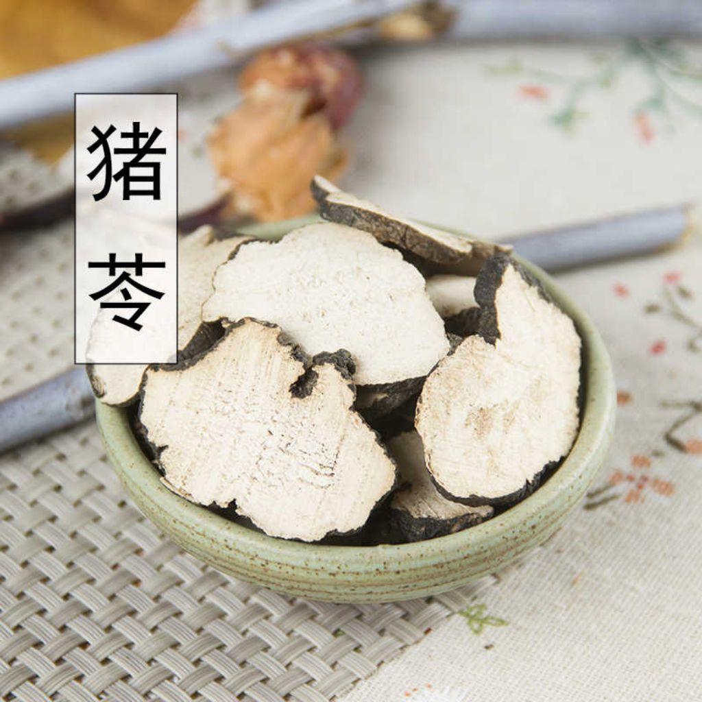 

Zhu Ling Pian/Polyporus Umbrellatrus