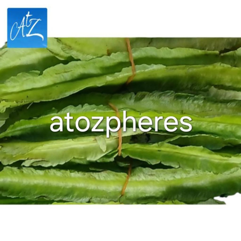 

Sayur hijau kecipir segar pilihan fresh