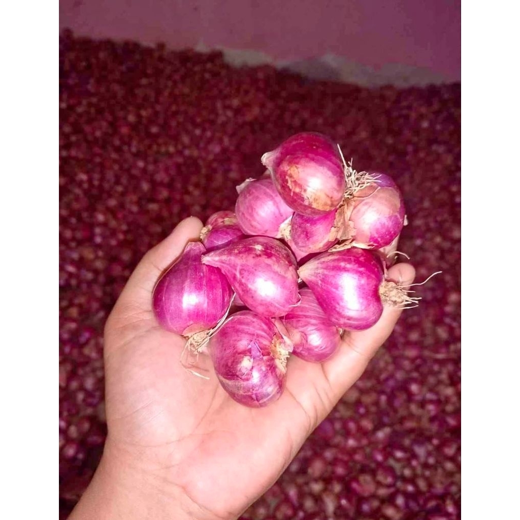 

bwang mrah probolinggo kering, barang super besar berat 1kg dijamin puas