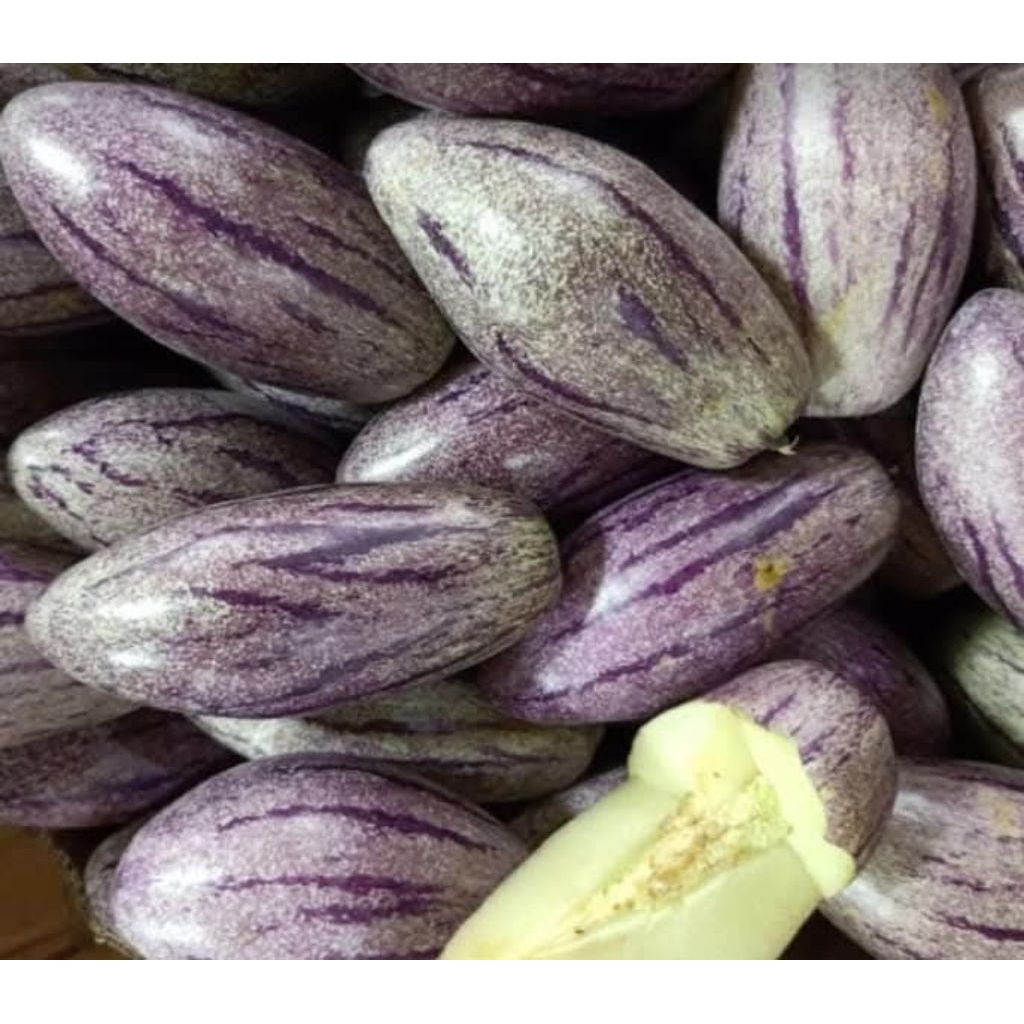 

papino ungu/buah put