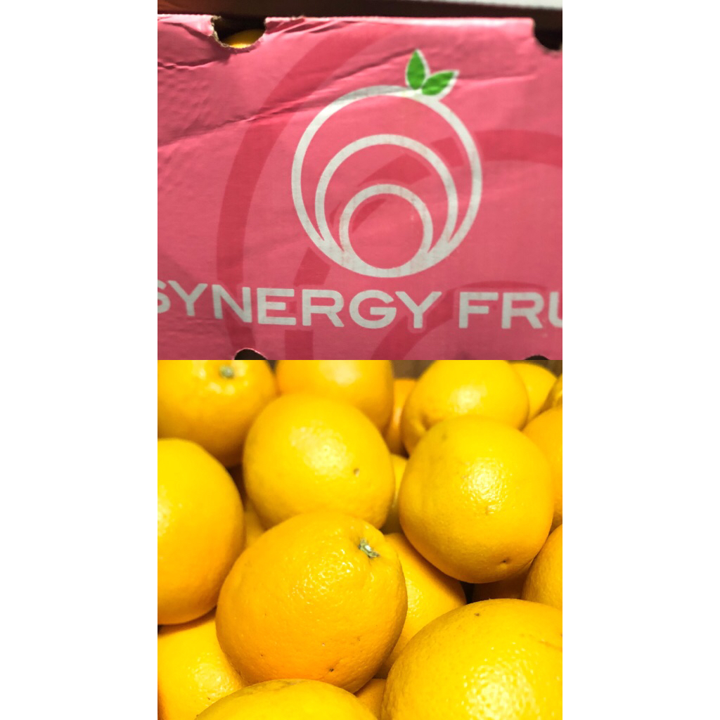 

Jeruk Navel Africa Synergy Fruit /kg