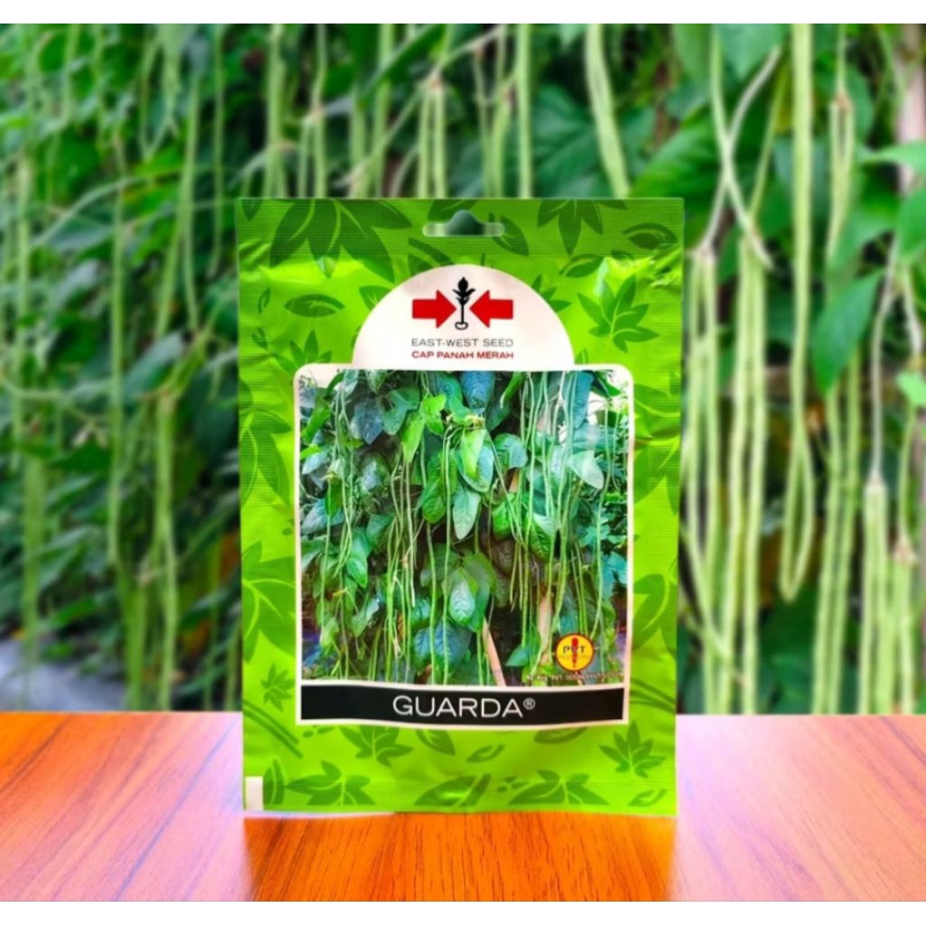 Bibit Kacang Panjang/ Benih Sayur Unggul/ Repack 10 benih kacang panjang