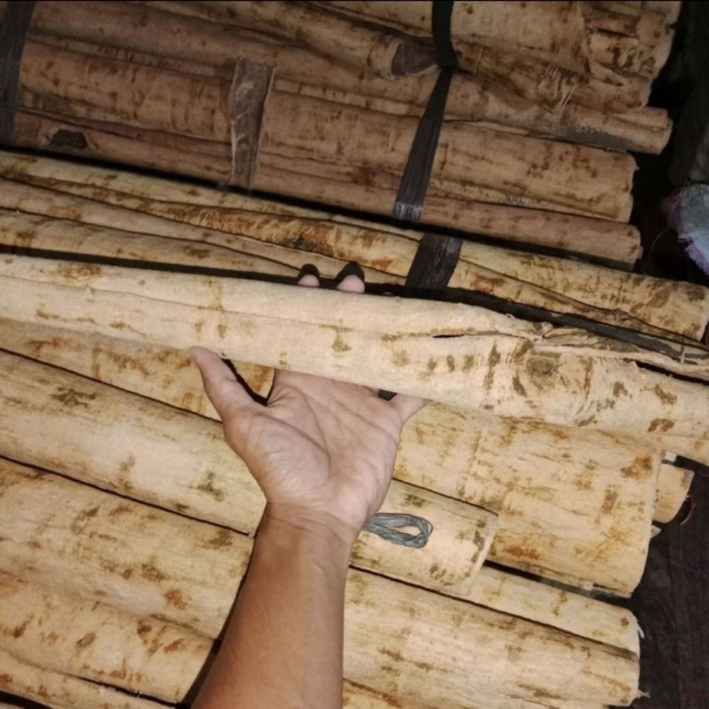 

kulit kayu PULE kering 1000gram herbal alami untuk kesehatan