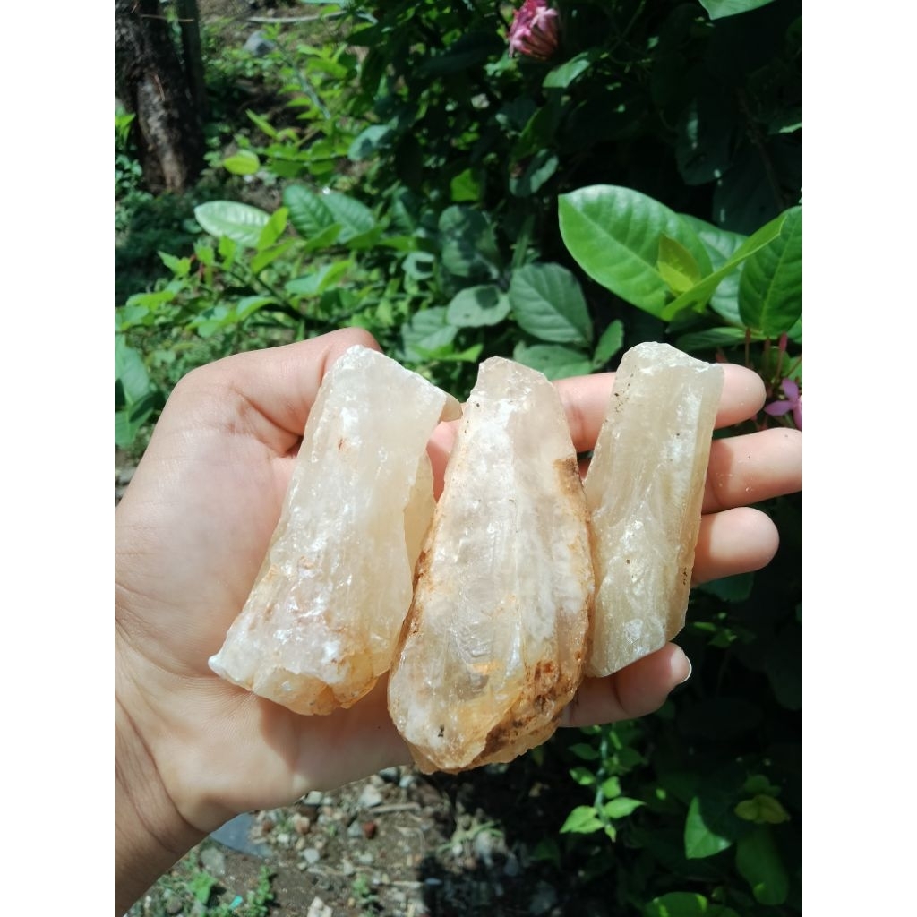 Batu kristal mani gajah Asli 100% dari Lampung