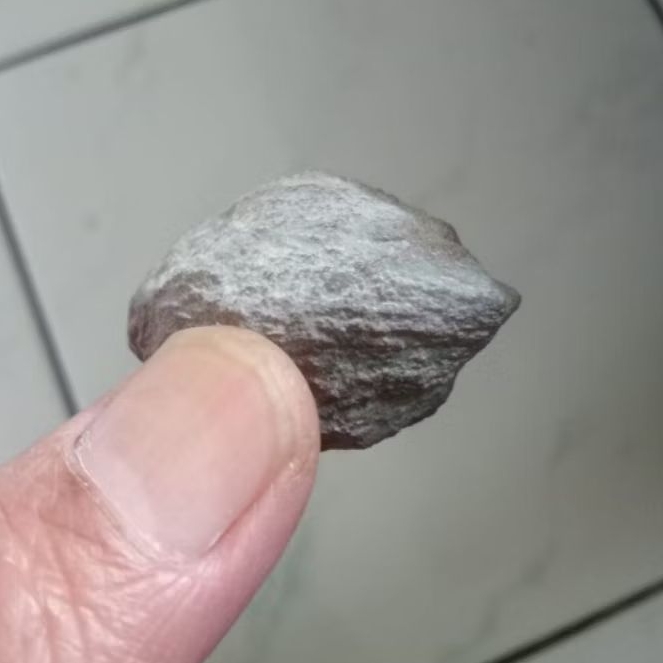 Kemiri Adu Muncang Adu Jabra Si Besi Full Tua