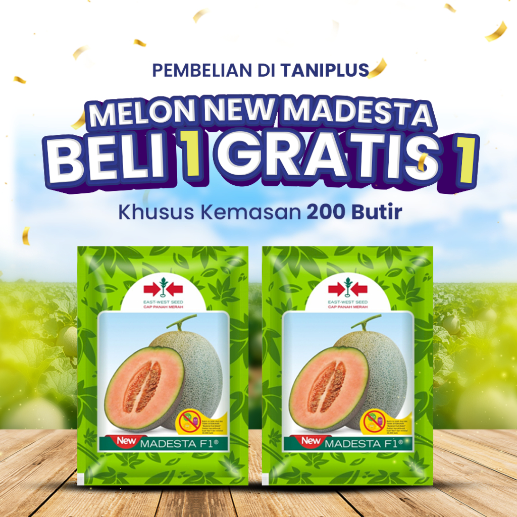 Melon New Madesta 200 Butir - Benih Hortikultura