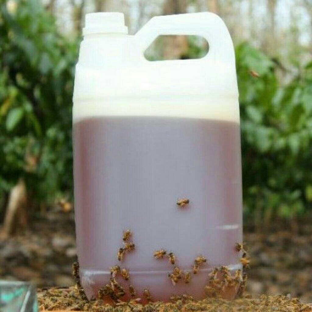 

Madu Murni Asli Tanpa Campuran