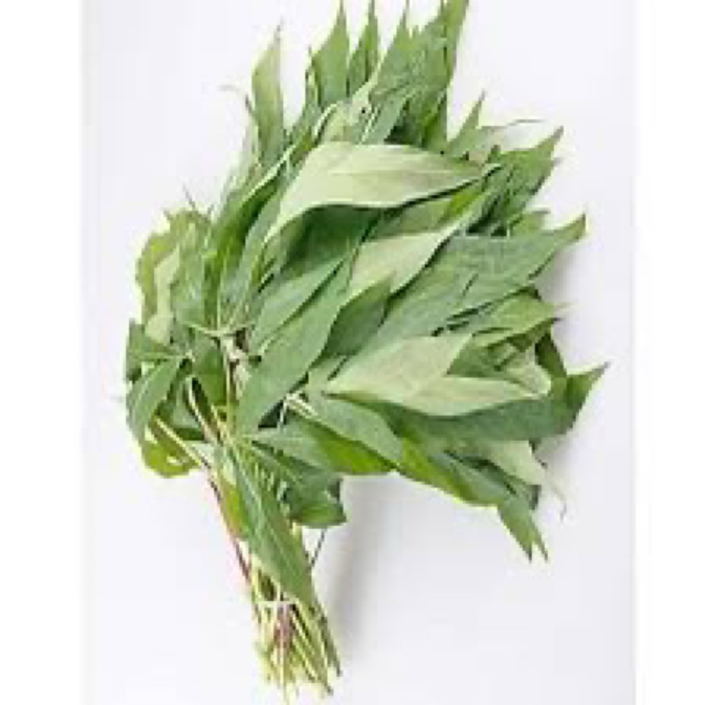 

Daun ubi ( Singkong) perikat- 36 fresh Palembang