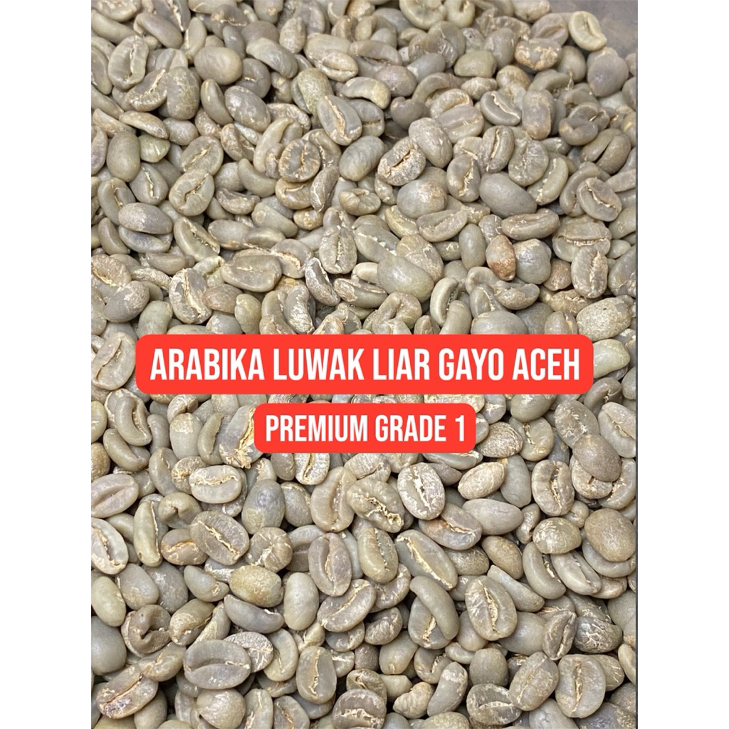 

Green Beans Kopi Arabika Luwak Liar Gayo Premium Grade 1-Dikirim Langsung Dari Gayo-1KG