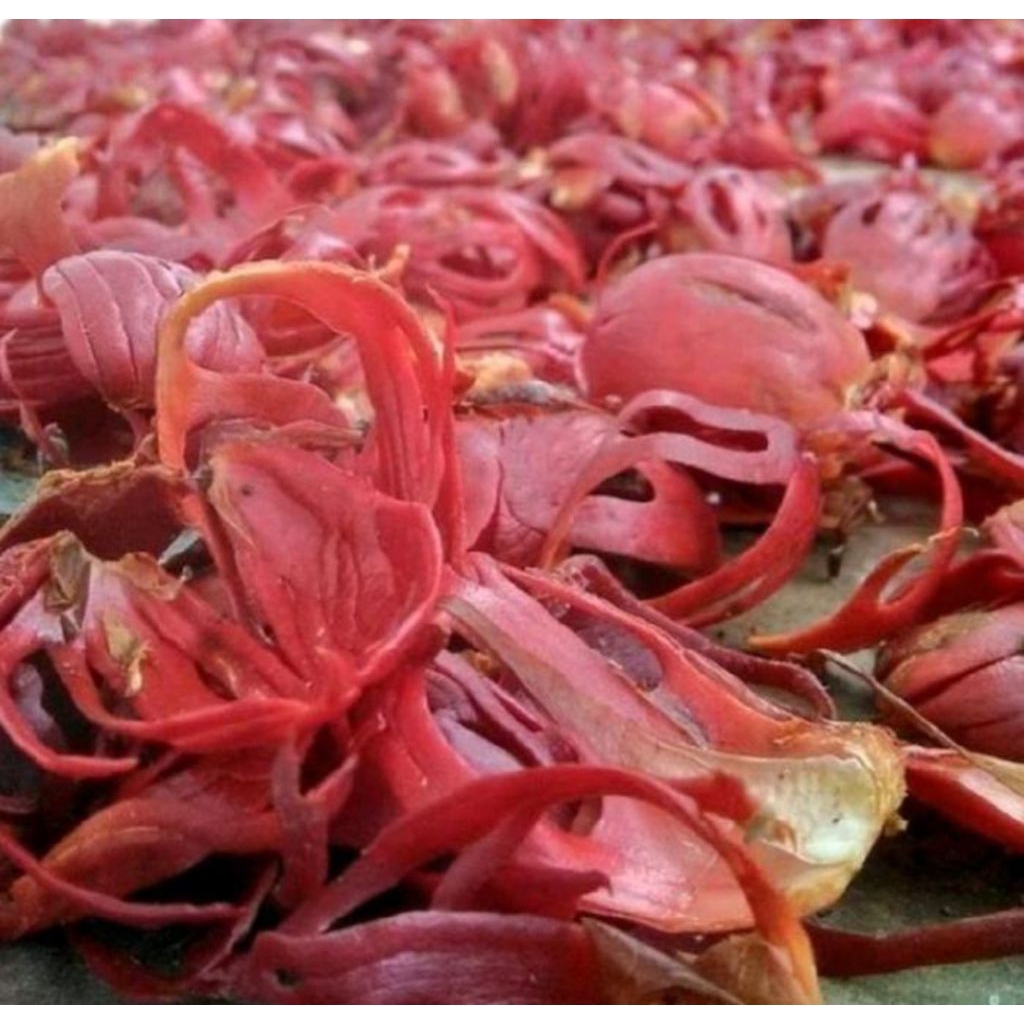 

sempra kering isi 100 gram