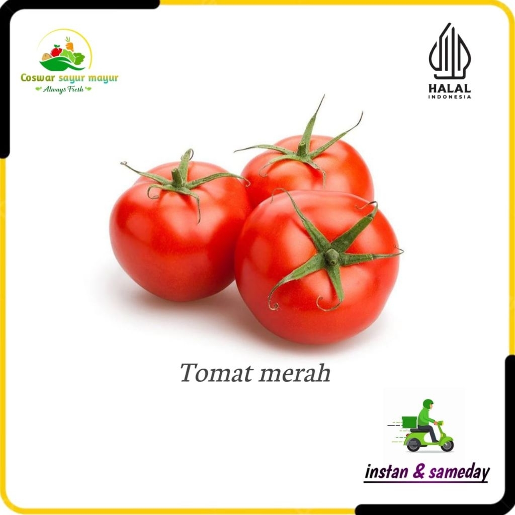 

{ 500 gram } tomat merah sayuran segar buat sambal lebih mantap