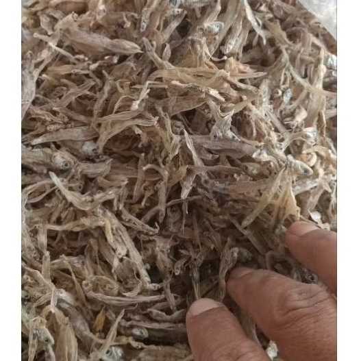 

ikan teri kecil,teri tawar terinasi tawar kemasan ekonomis