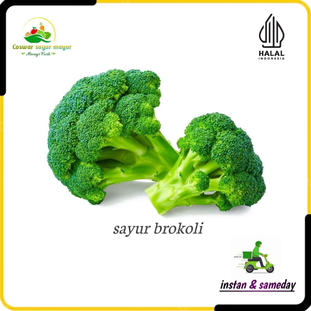 

{ 500 gram } brokoli sayuran segar kualitas terbaik sayuran brokoli