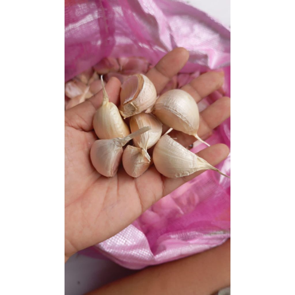 

bawang putih katting 500 gram + gratis kemiri/penyedap